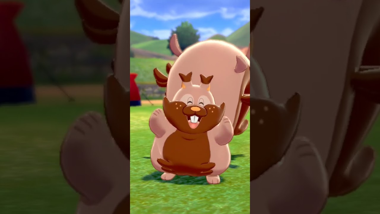 ヨクバリス Greedent【ポケモン剣盾】