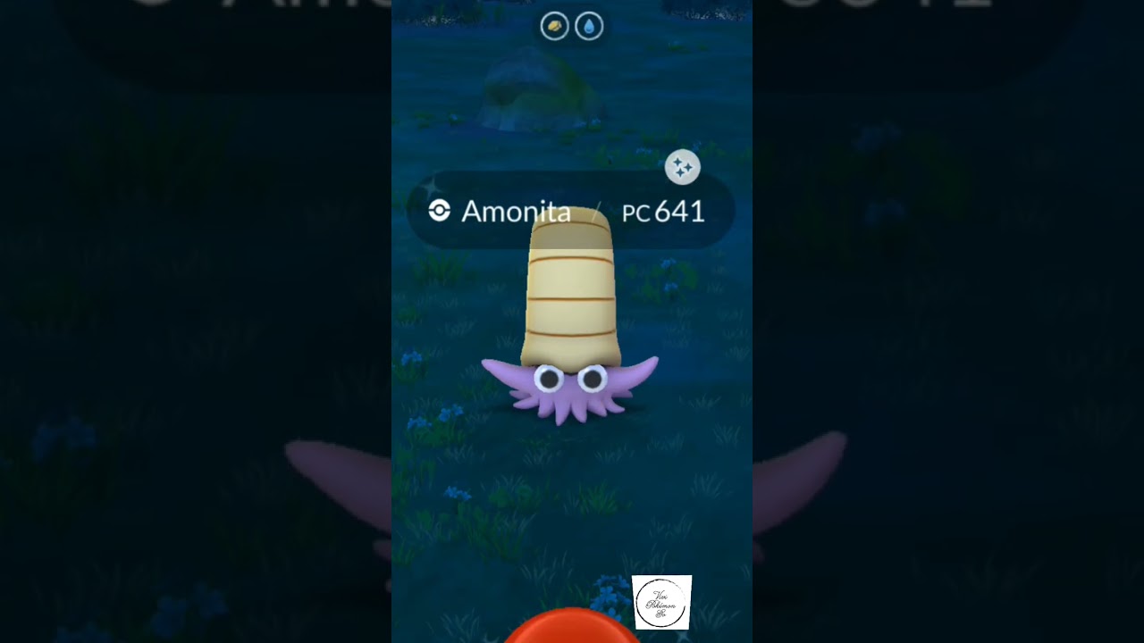 Rencontres Pokémon Fossile #amonita #pokemongo #amonitashiny #omanyte #shinyOmanyte #pokemongoshiny