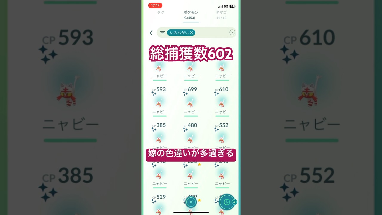色違いの多過ぎる妻のニャビーコミュデイ【ポケモンGO】　　　　　　　#ポケモン GO #pokemongo #ポケモン #pokemon #ポケモンカード #ニャビー　#コミュニティデイ #コミュデイ