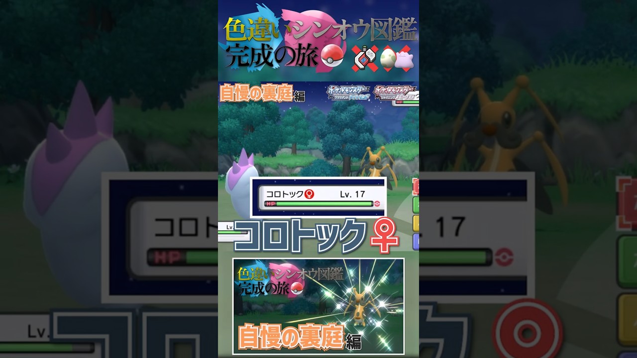 色違いの『コロトック♀』ゲット！！（欲しかったやつ）｜【自慢の裏庭編】8434回目：コロトック｜【ポケモンBDSP】色違いシンオウ図鑑完成の旅 #shinypokemon #色違い  #ダイパリメイク