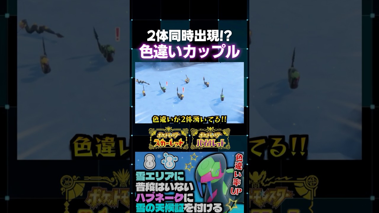 【ポケモンSV】普段は入手不可能な限定証持ちキター!! ハブネークの色証厳選をしてたらカップルで2体同時出現してガチラッキーｗ【切り抜き】【色違いポケモン】【色違い厳選】#shorts