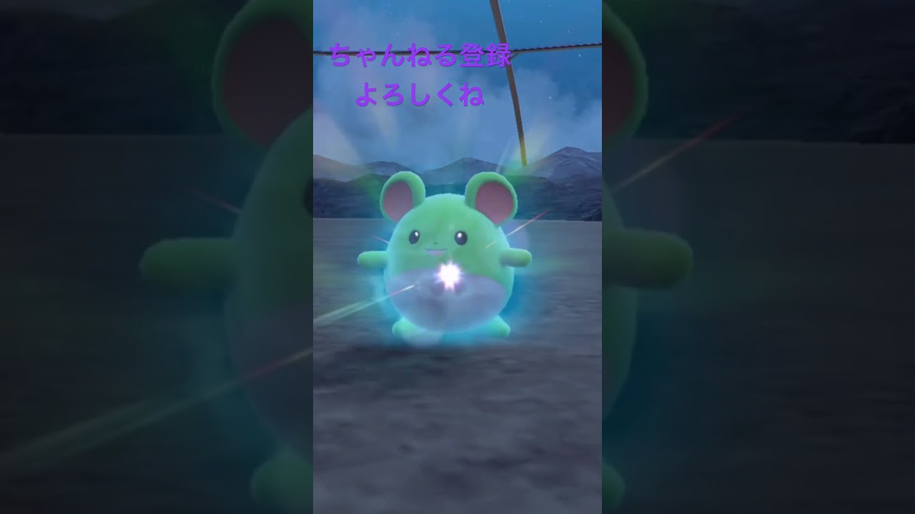 色違いマリル進化 #ポケモン #色違いポケモン #ポケモンsv