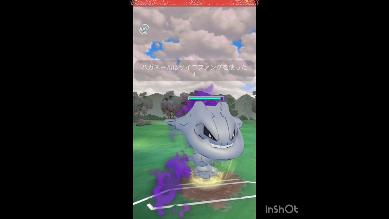 シャドウハガネールが刺さってた💨