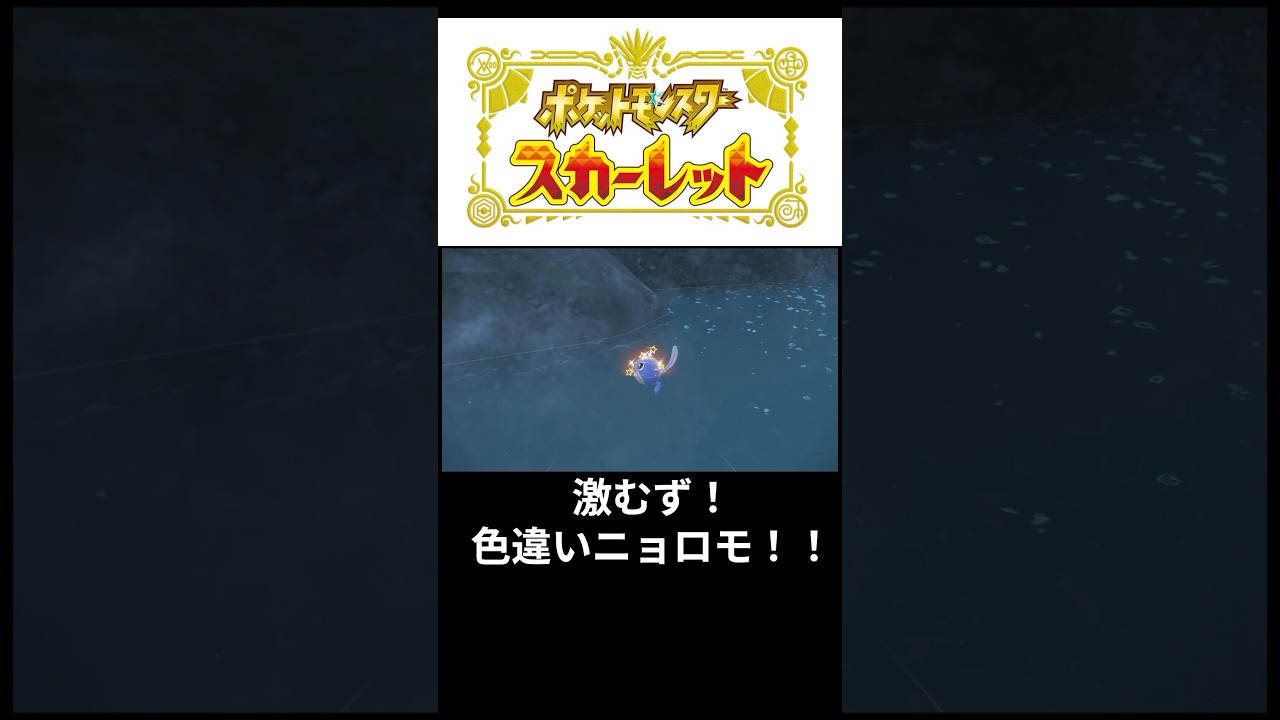 激ムズ色違いニョロモGETする父#ポケモン#ポケモンsv #ポケモンスカーレット#ゲーム#ゲーム実況#ゲーム配信#参加型#初心者#ゲーマー夫婦#switch#shorts