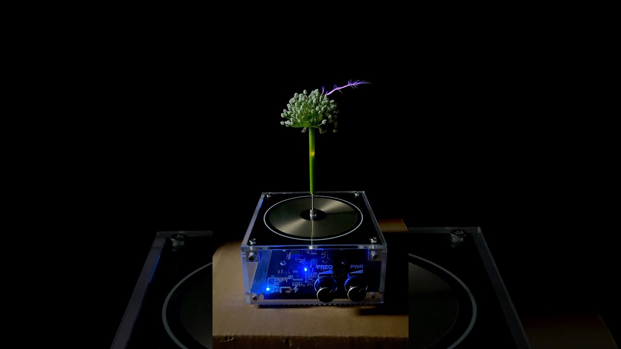 Seed 🌱 tesla coil experiment