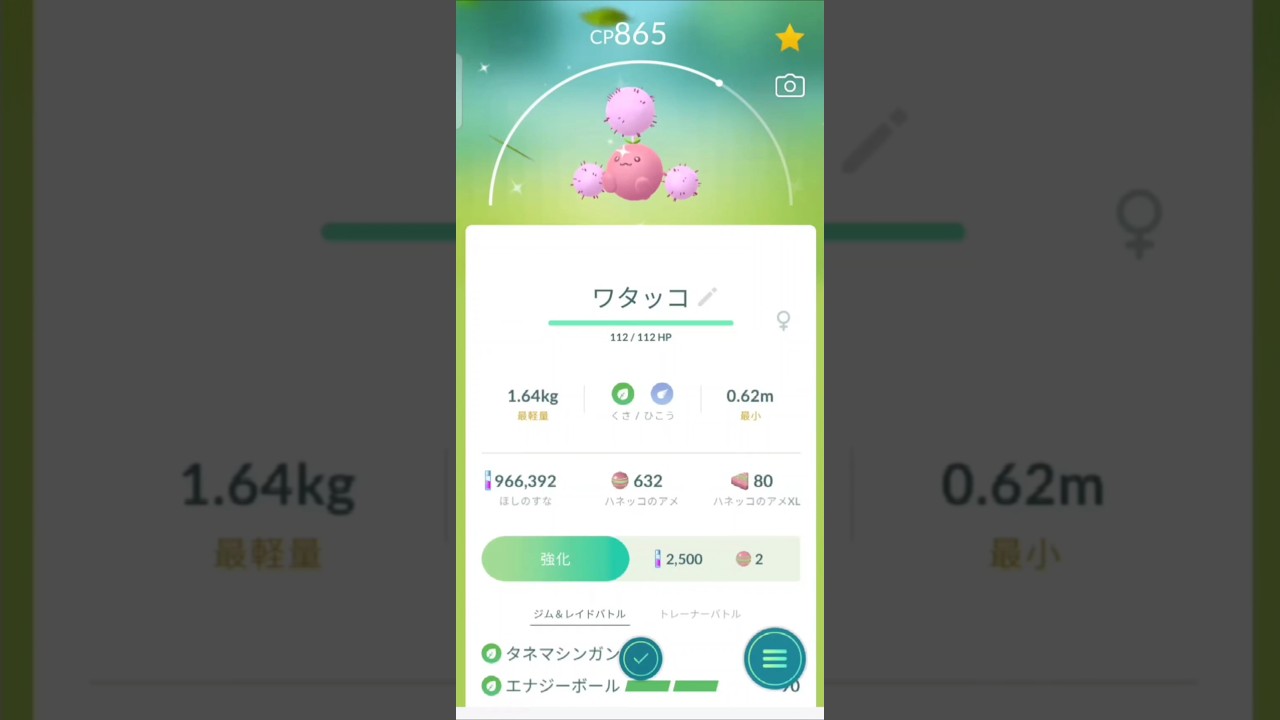 色違い　ハネッコからワタッコに進化　ポケモンGO