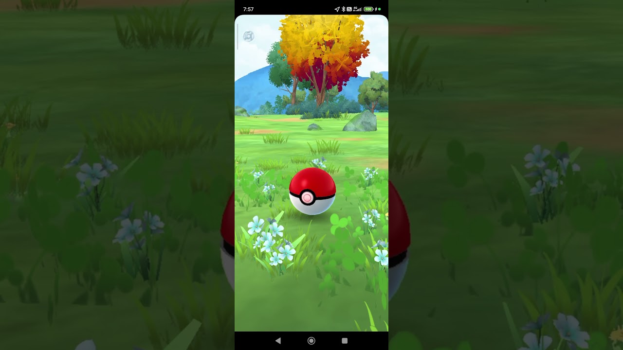 Pokémon GO - Pidove (shiny)