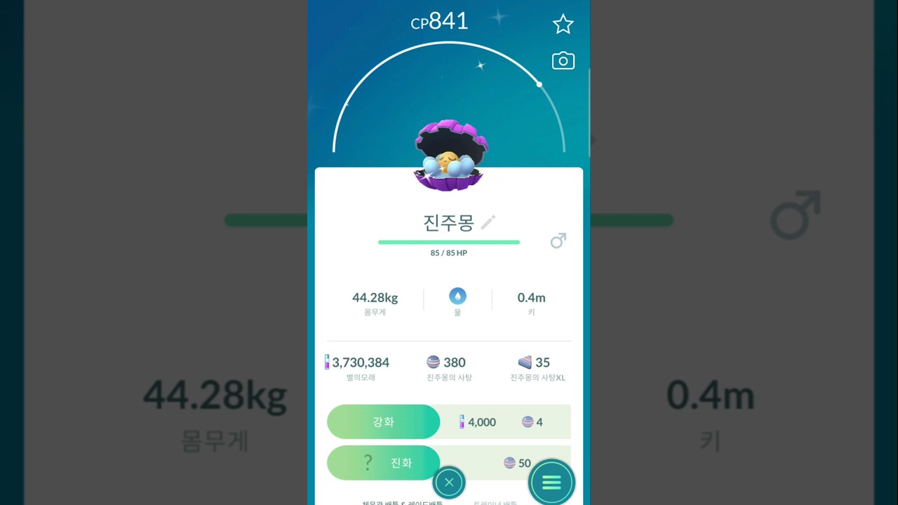 포고플플이 잡은 이로치 진주몽