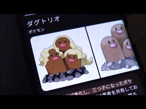 ピクブル まじで土の中ダグトリオ 洗う緊急追加配信！！！！！ 返信の儀。