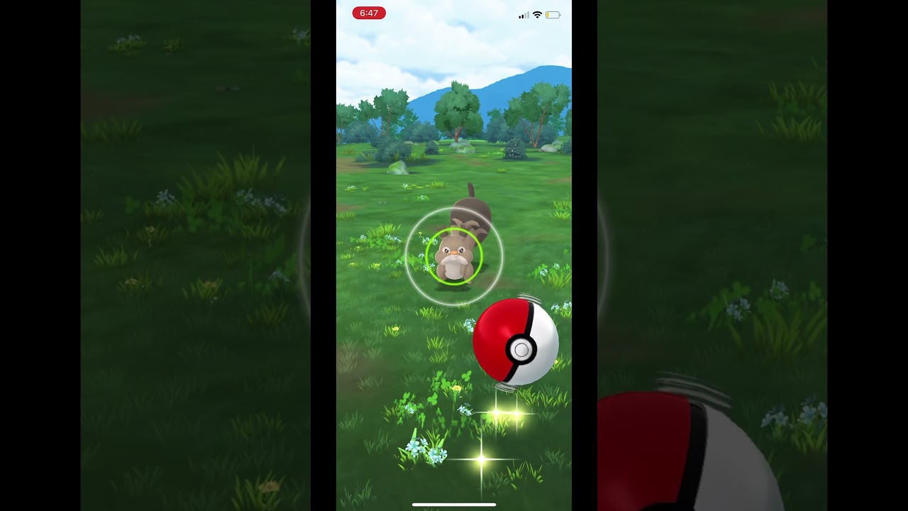 Daily Catch #pokemon #pokemongo #shorts