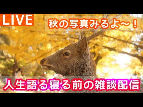 【雑談】人生語る真夜中の雑談配信