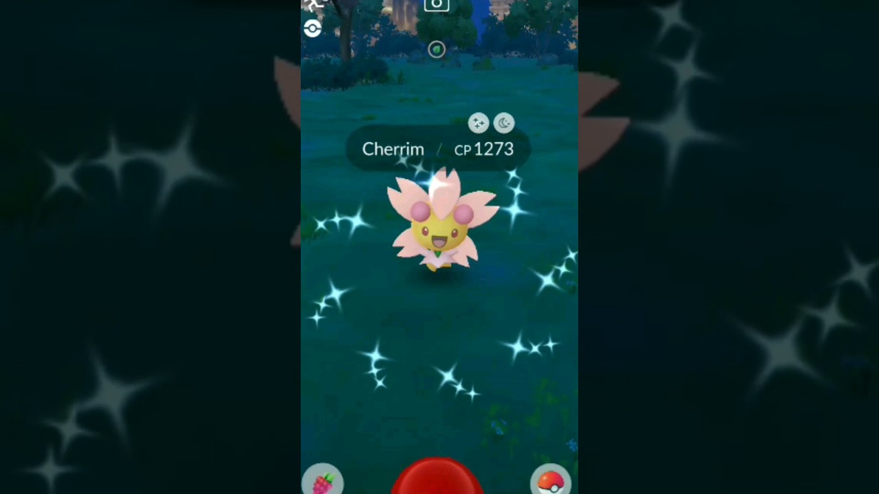 Getting Lucky With Shiny ✨️Cherrim in wild #pokémongo