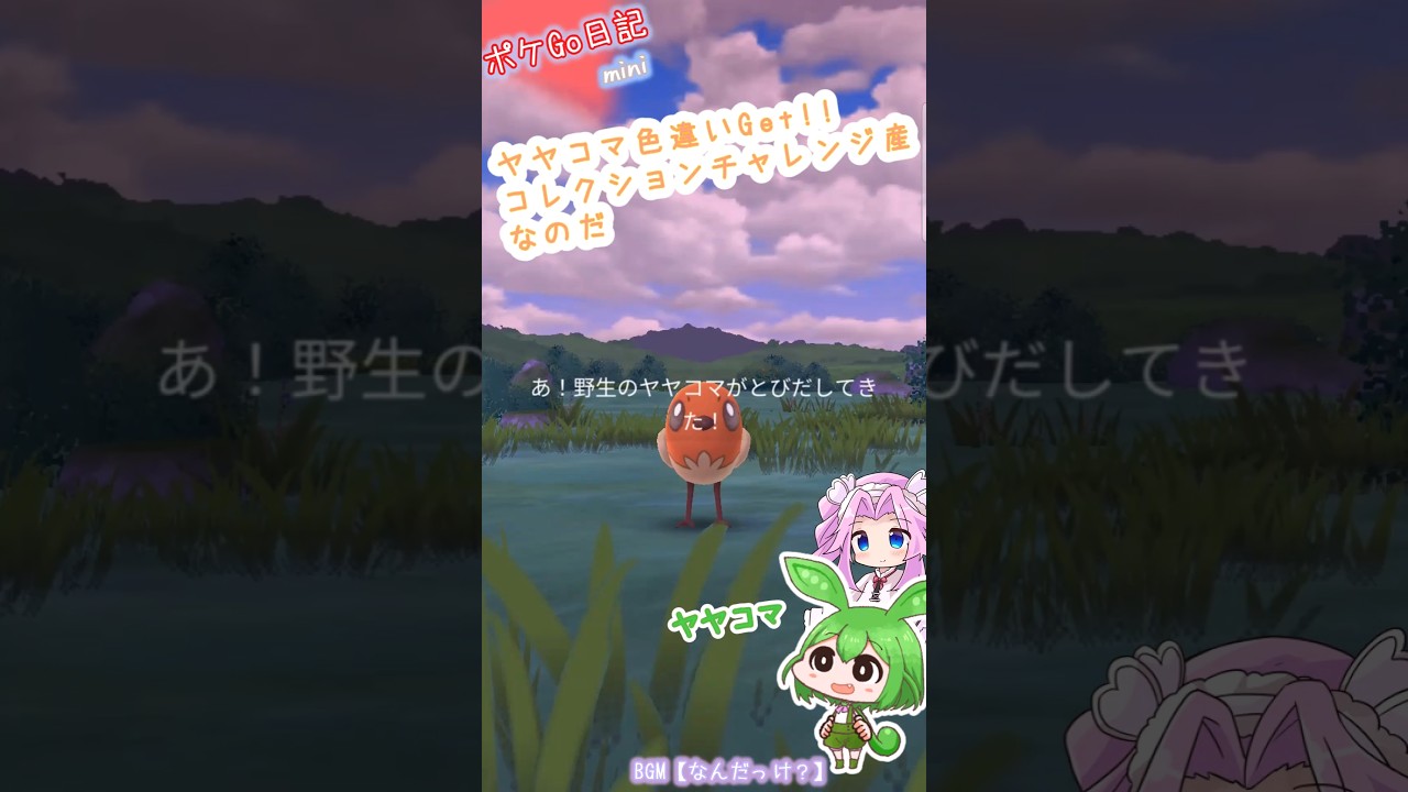 【ポケGO日記ミニ】ヤヤコマの色違いGETなのだ！ #shorts  #ポケモンgo  #ヤヤコマ #色違い #茶番 #ずんだもん #四国めたん #pokemongo