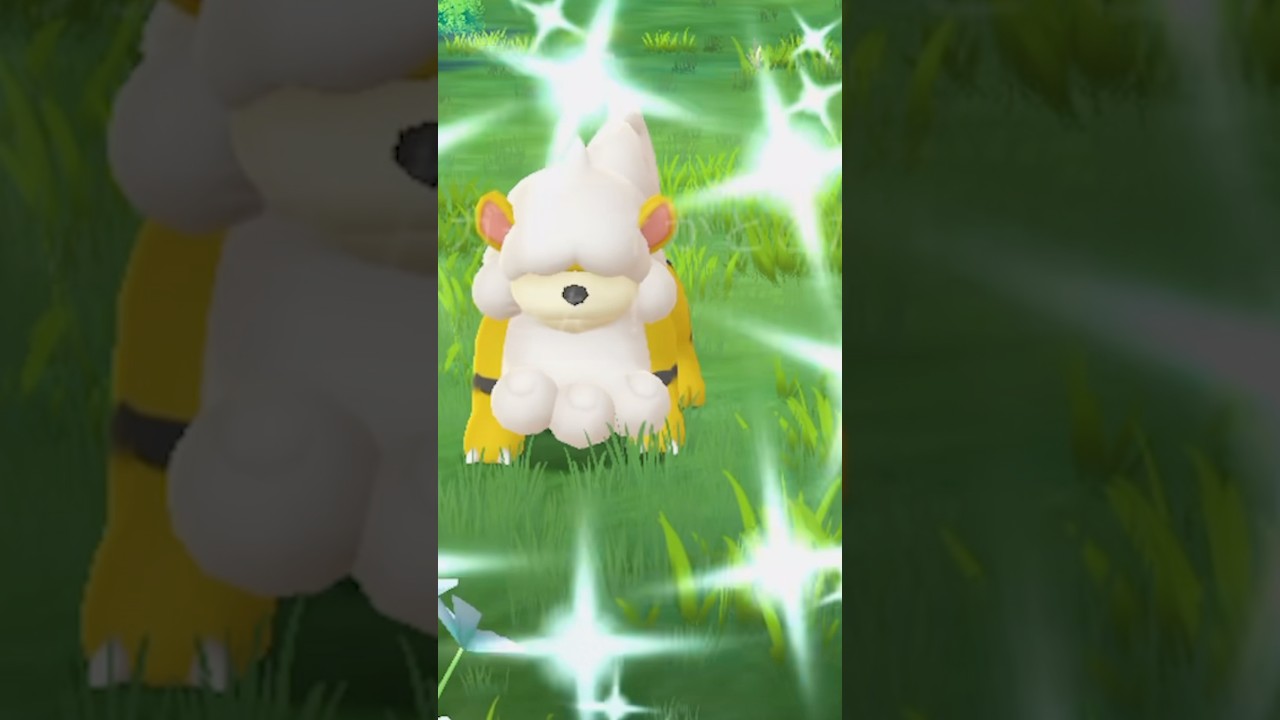 色違いガーディかわいい♫ #ポケモンGO #ポケモン #pokemongo