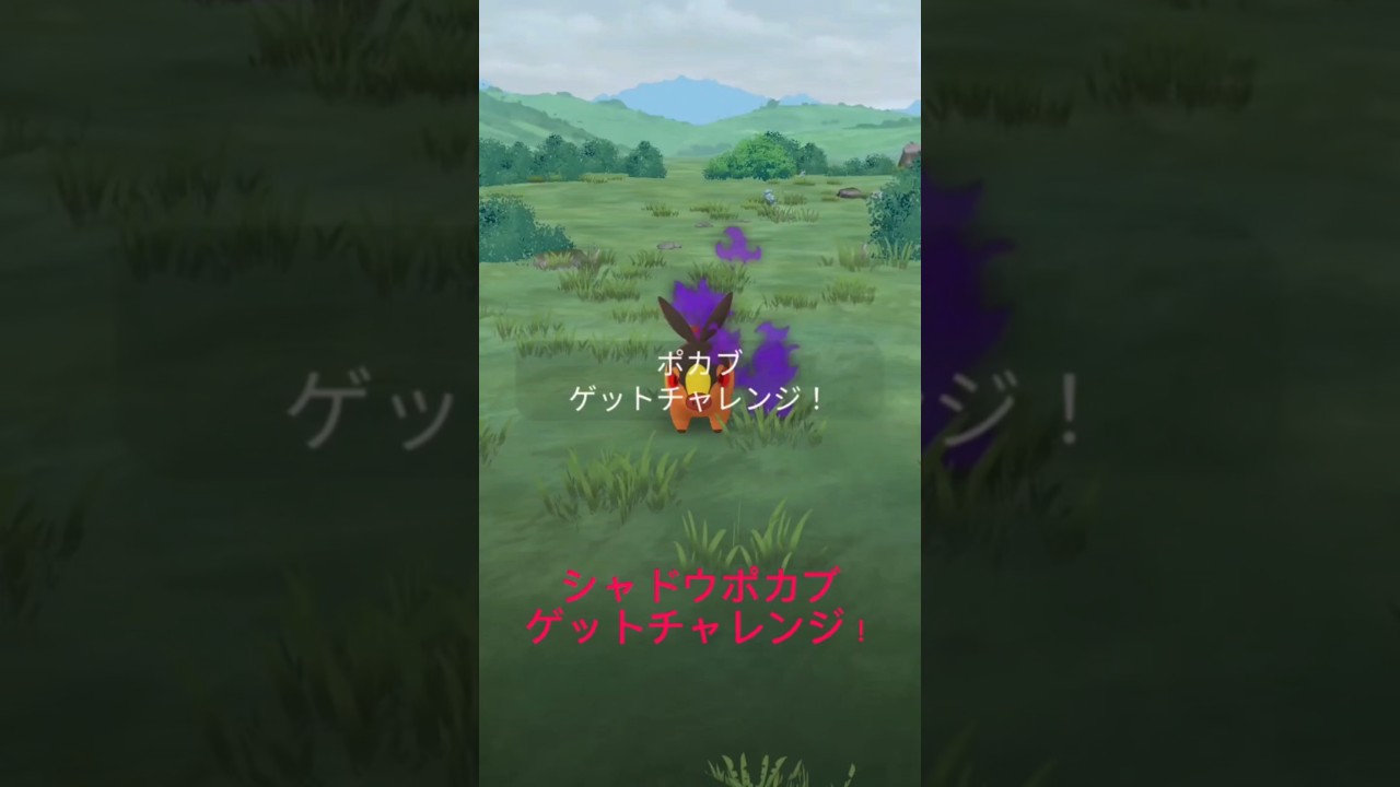 シャドウポカブ個体値は？？#ポケモンgo #pokemongo #ポケモン
