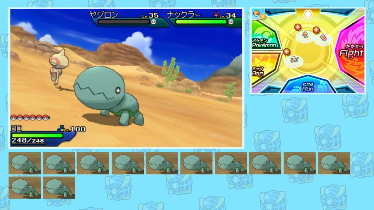 さすがに今日10％ヤジロン(2体目)出ると思う。【ウルボ色厳選】