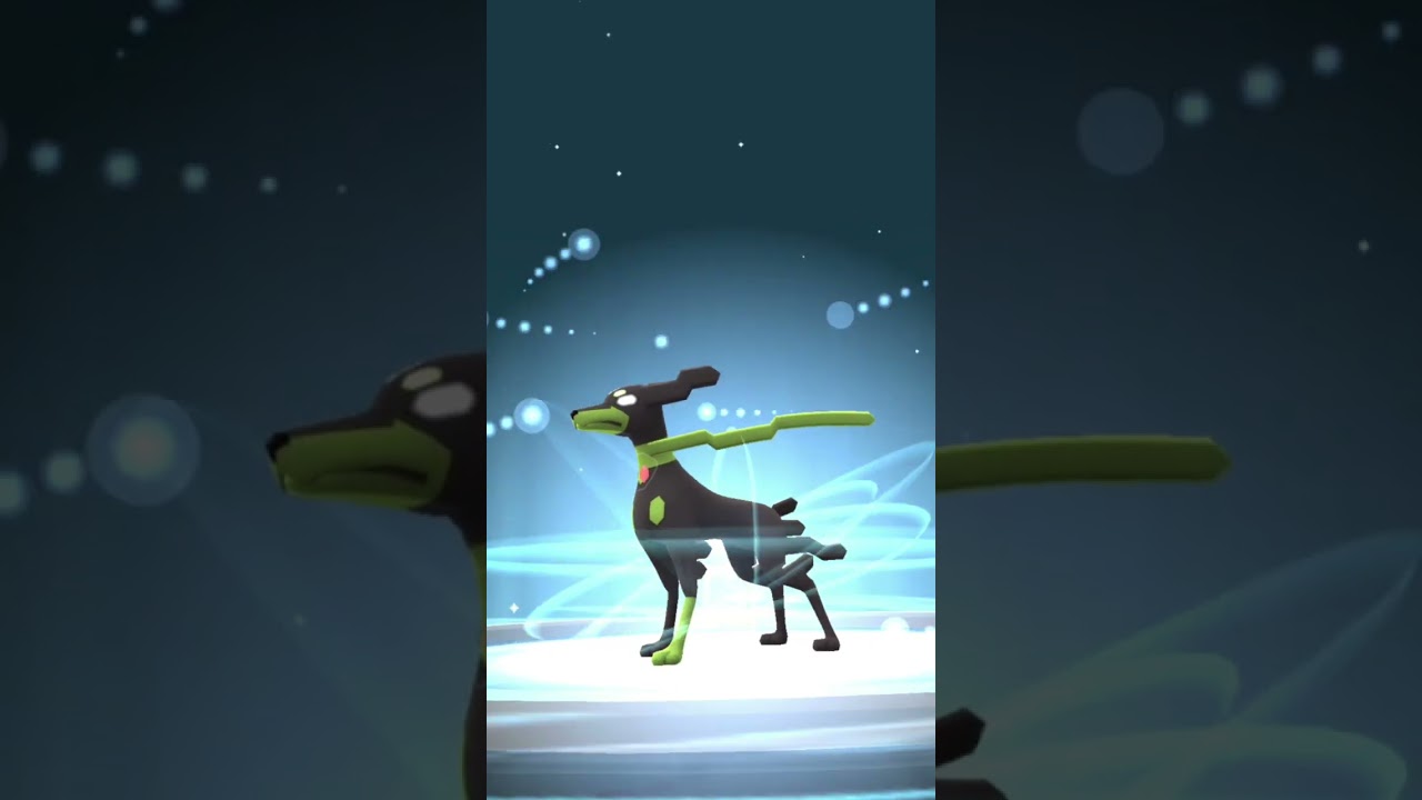 【流石にキツすぎ】ジガルデ50%フォルム #ポケモンgo #pokemongo #ジガルデ #shorts