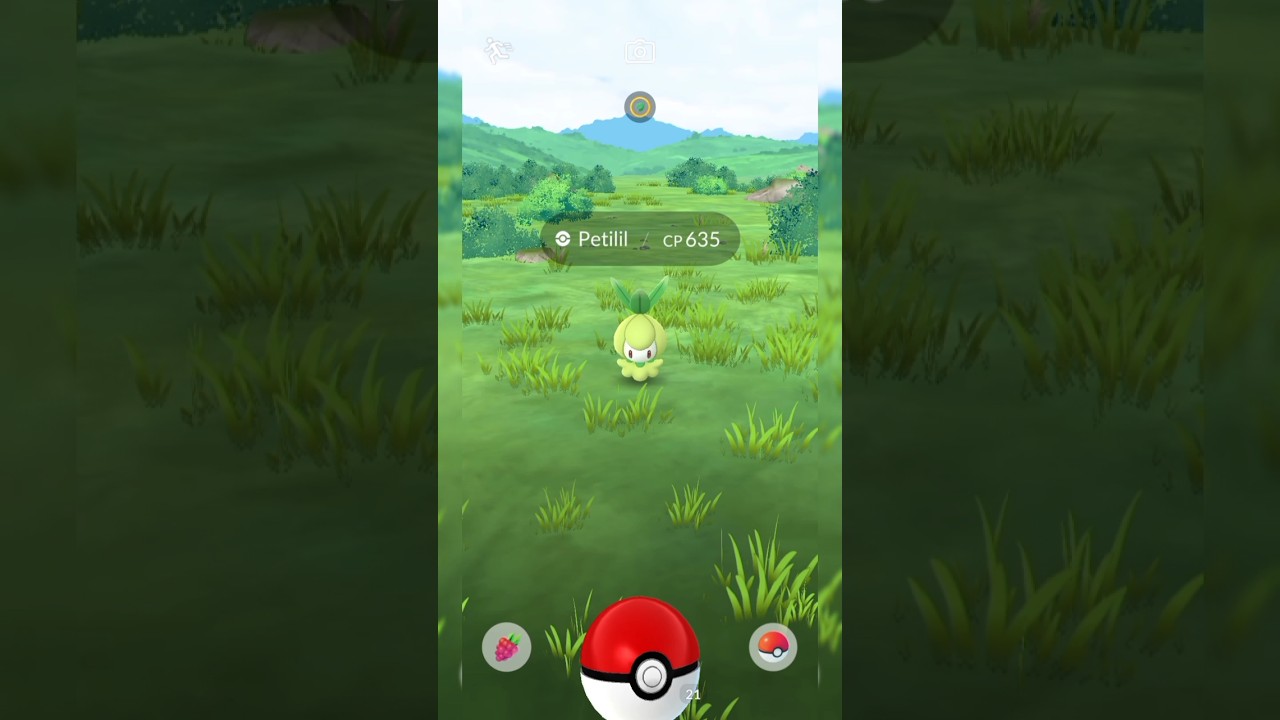 Catching a Petilil pokemon in the nature #pokemongo #pokemon