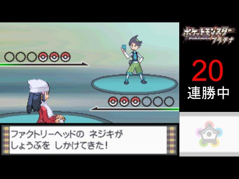 【銀ネジキ】ラティオス&ファイヤー率いる銀ネジキ