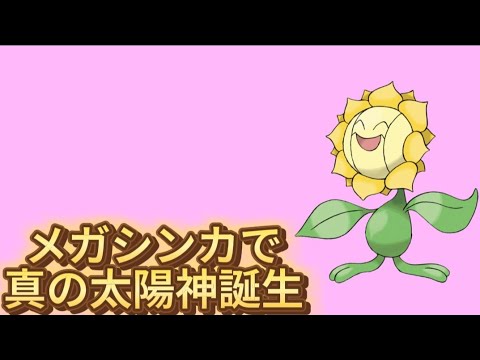 【ヤバい】「メガシンカキマワリ」大活躍の理由【ポケモン解説員】