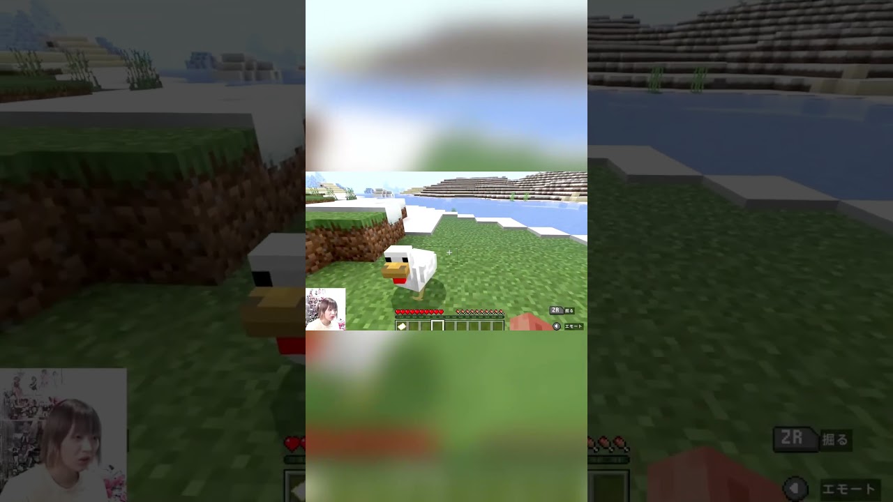 カモネギに出会う 【マインクラフト】 #マインクラフト #マイクラ #minecraft