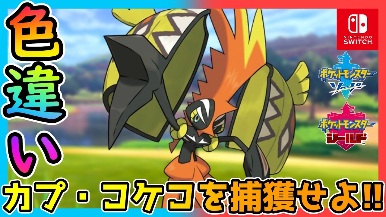 色違いカプ・コケコに会いに行こう！ その⑤　#shorts #ポケモン #shinypokemon