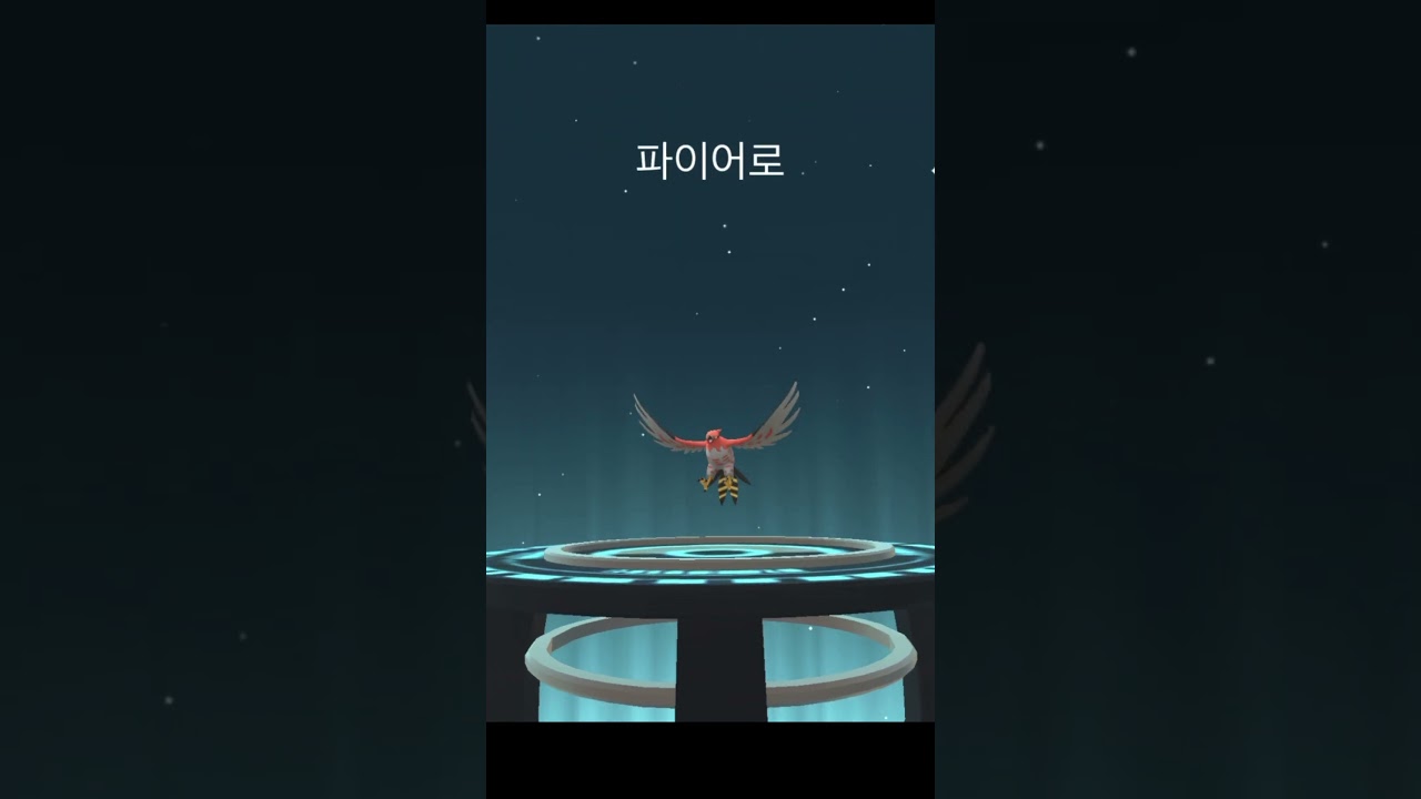 불화살빈 ヒノヤコマFletchinder 파이어로 ファイアローTalonflame #pokemongo