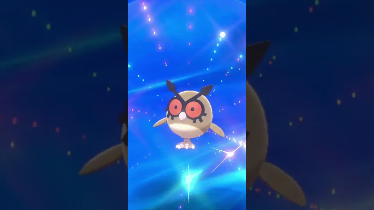 Evolução do Hoothoot para Noctowl em Pokémon Sword #hoothoot   #noctowl  #pokemonswordshield
