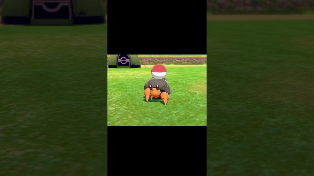 ボールを持って駆け寄ってくるイシズマイ　#Shorts