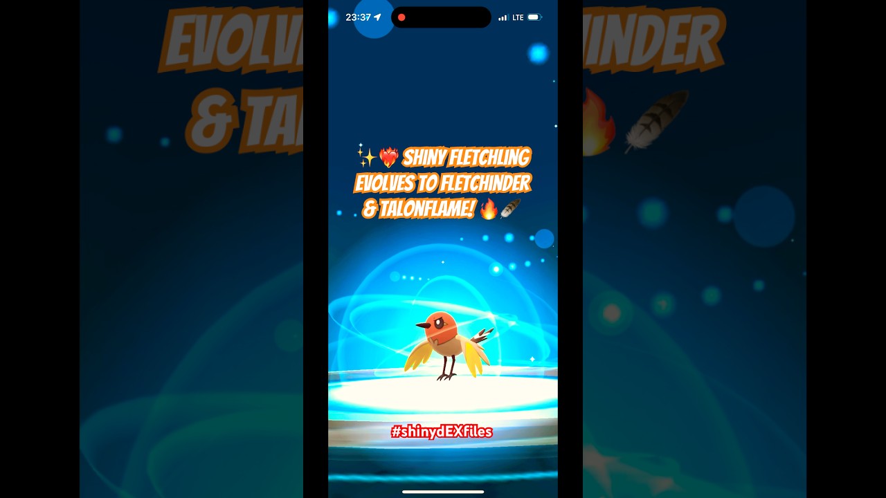 ✨❤️‍🔥 Shiny Fletchling evolves to Fletchinder & Talonflame! 🔥 #shinylivingdex #shinydex #kalos #xy