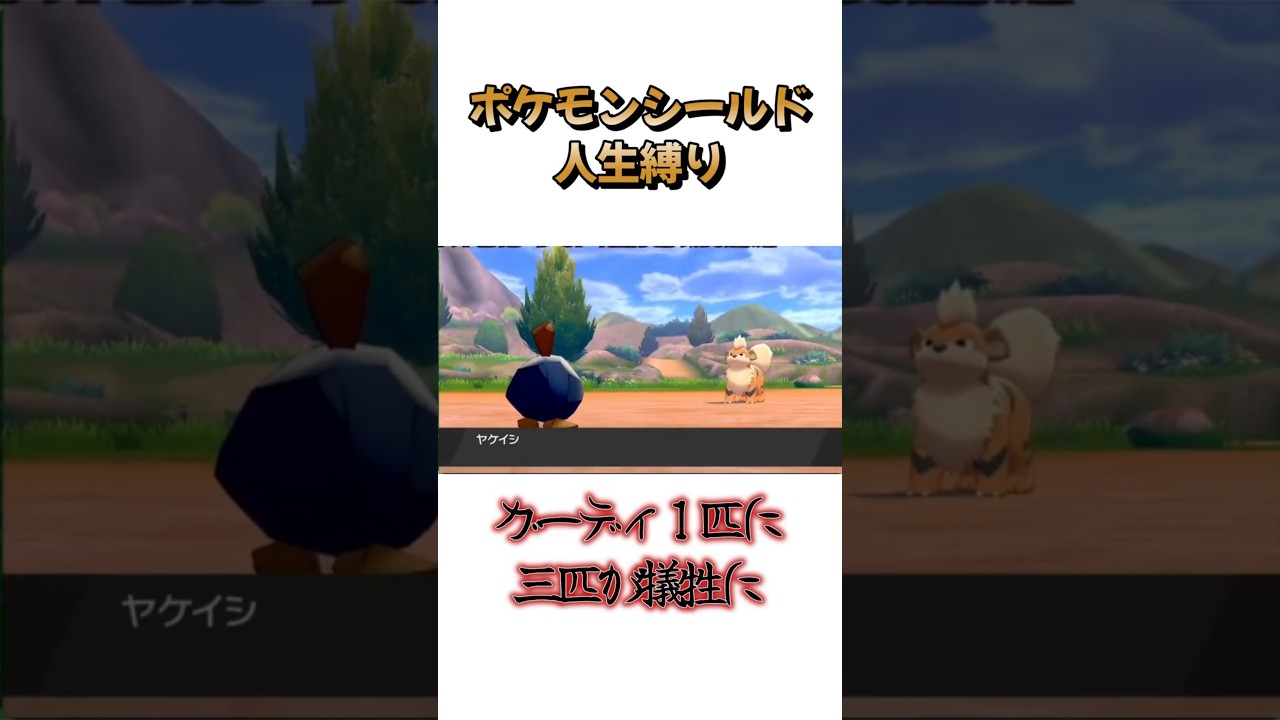 結局３匹犠牲になった #shorts