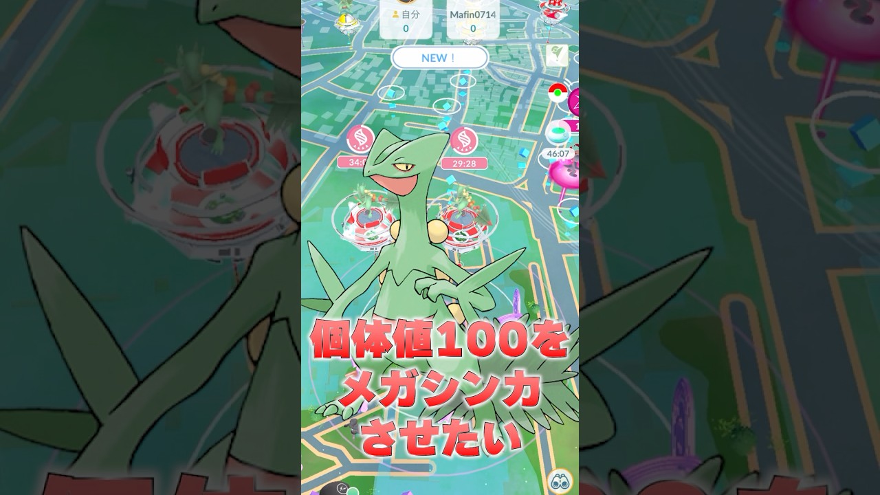 個体値100のジュカインをメガシンカさせたい #ポケモンgo #ポケモン #pokemongo