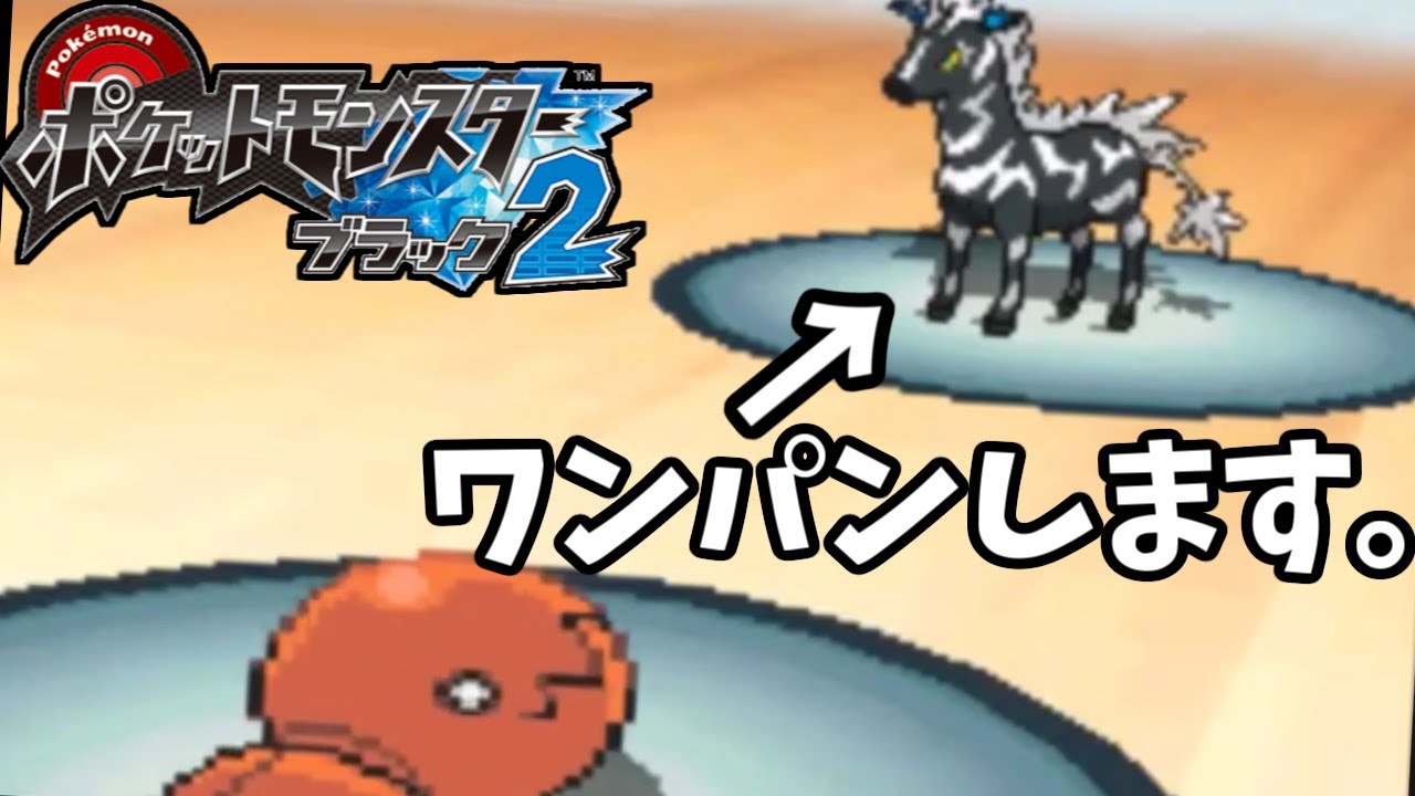 ナックラー最強！！！