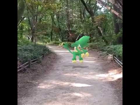 야나키 ( Simisage ) ヤナッキー ( 花椰猿 )