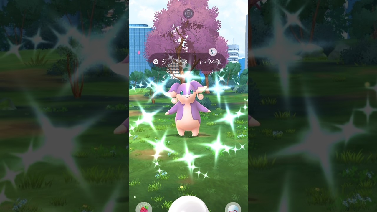 【ポケモンGO】メガタブンネ！レイドデイで高個体＆色違いチャレンジ！！#nintendo #pokemon #pokemongo #ポケモン #ポケモンgo #色違い #タブンネ #メガタブンネ