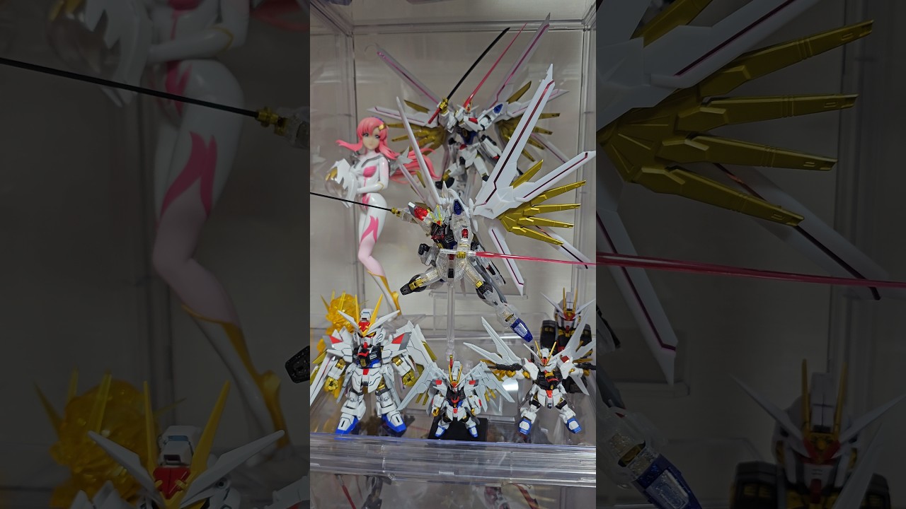 【ガンダム】マイティーストライクフリーダムガンダムコレクション#ガンプラ#gunpla #ガンダム#gundam#ガンダムseed #ガンダムseedfreedom #bandai