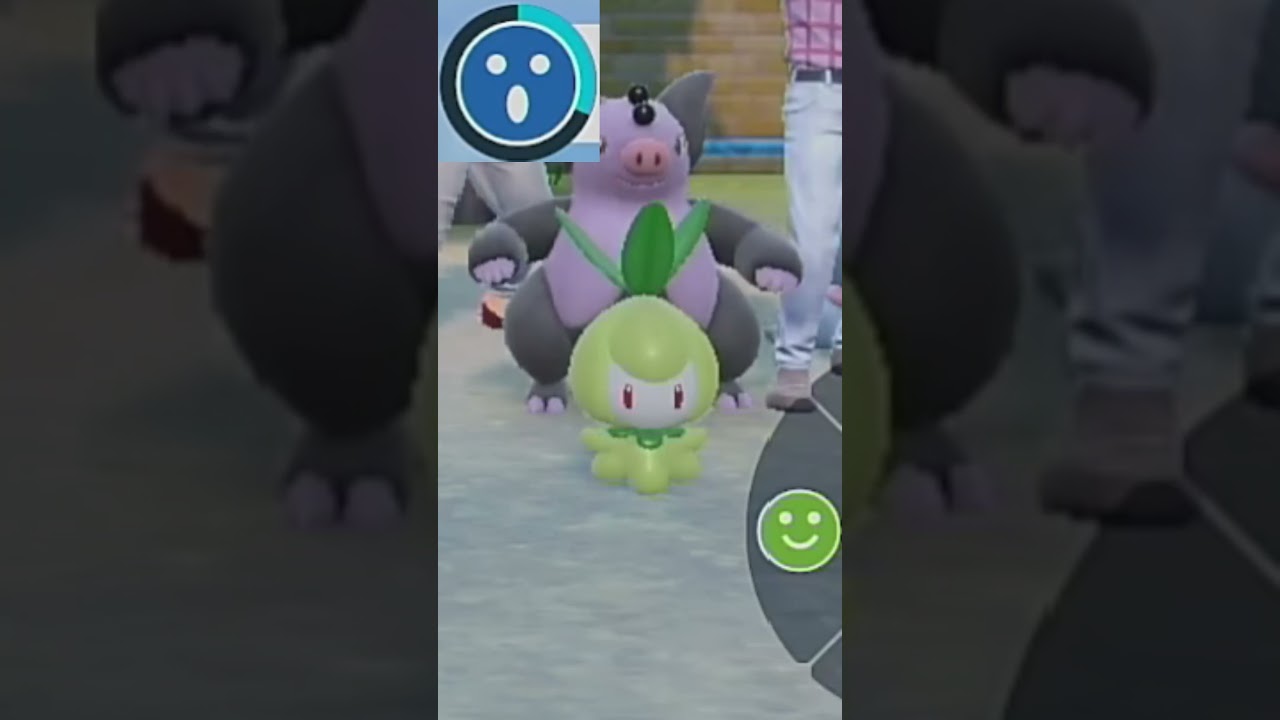 【チュリネ】ポケモンエクササイズ【キタカミ図鑑No.66】#Shorts #pokemon