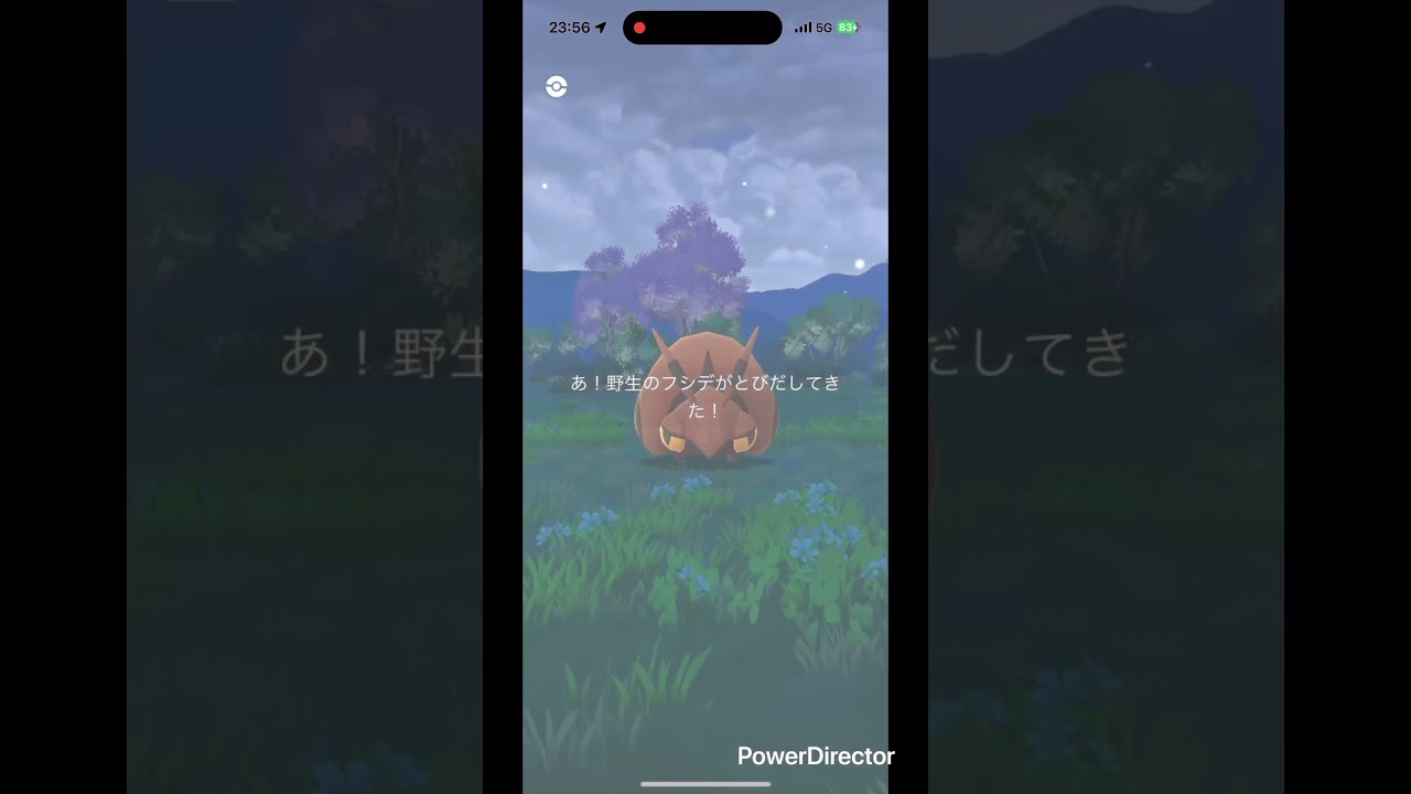 フシデ色違い✨ #pokemongo #ポケgo #pokemon #shinypokemon #ポケモン #pokémon #ポケモンgo