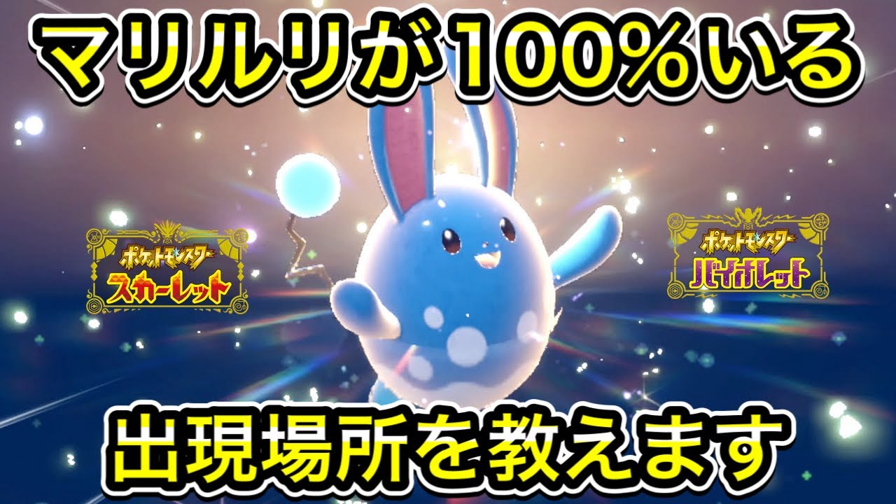 【ポケモンSV】マリルリが100%いる出現場所を教えます