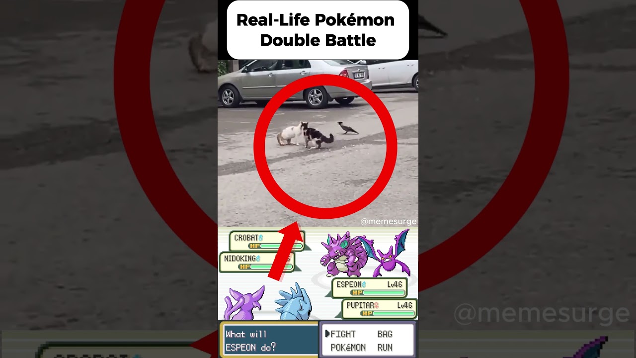 When Real Animals Start Pokémon Double Battling