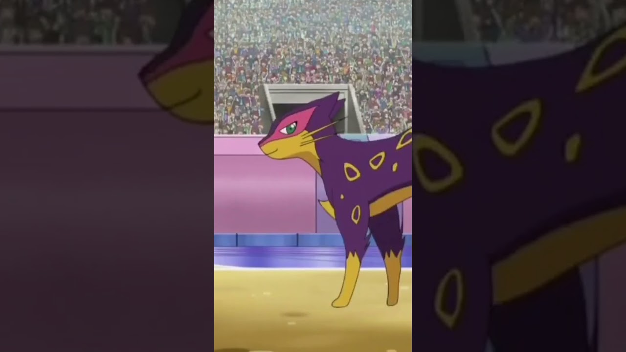 Cat cake TKO Liepard