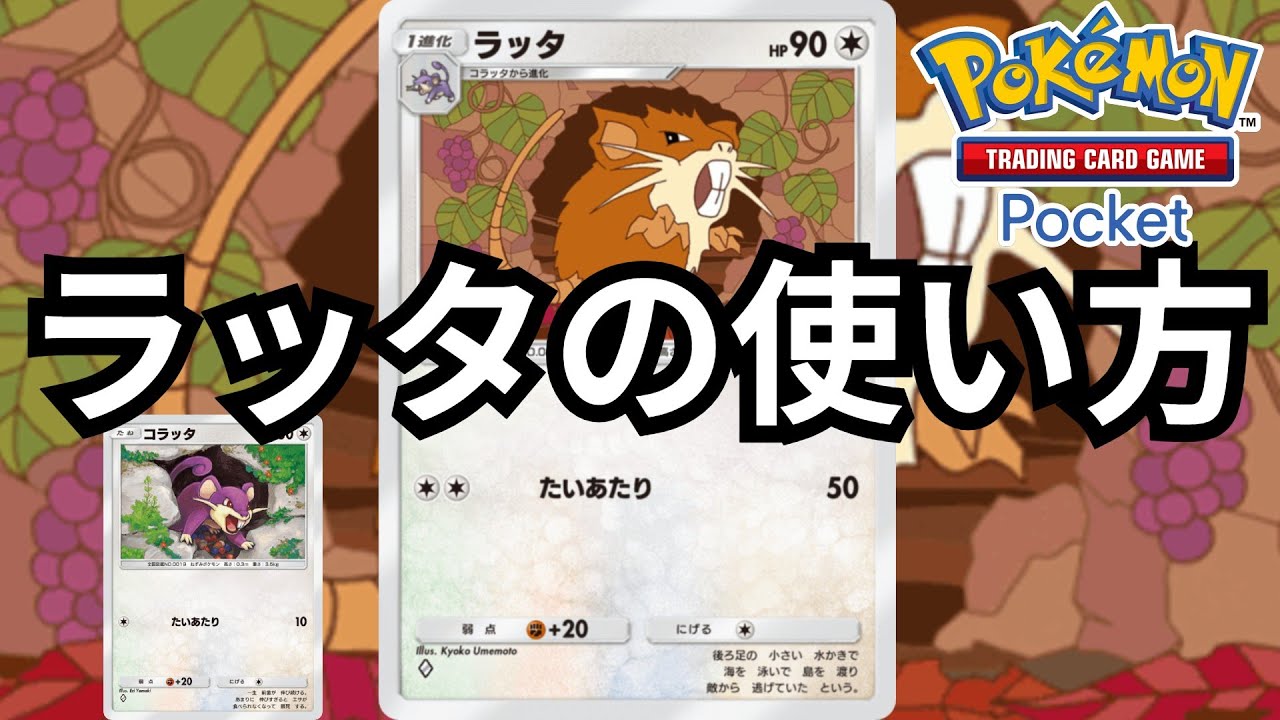 「ラッタ」の使い方【ポケポケ対戦】