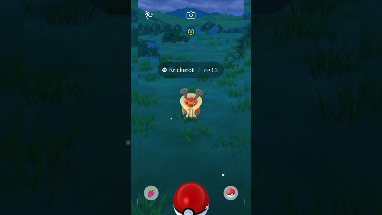 Catching a Kricketot pokemon in the nature #pokemongo #pokemon