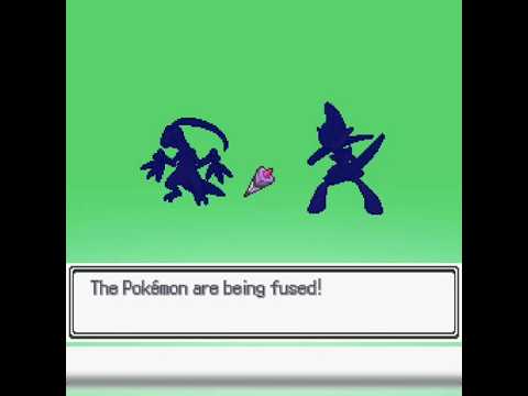 O DIA EM QUE EU FUNDI UM GROVYLE COM UM GALLADE