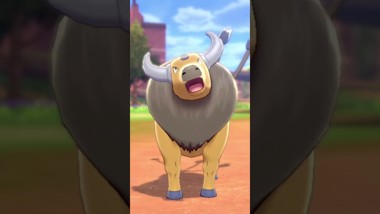 ケンタロス Tauros【ポケモン剣盾】