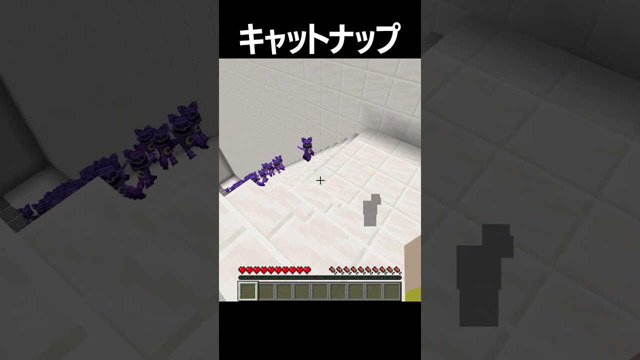 大量のキャットナップ #shorts #minecraft