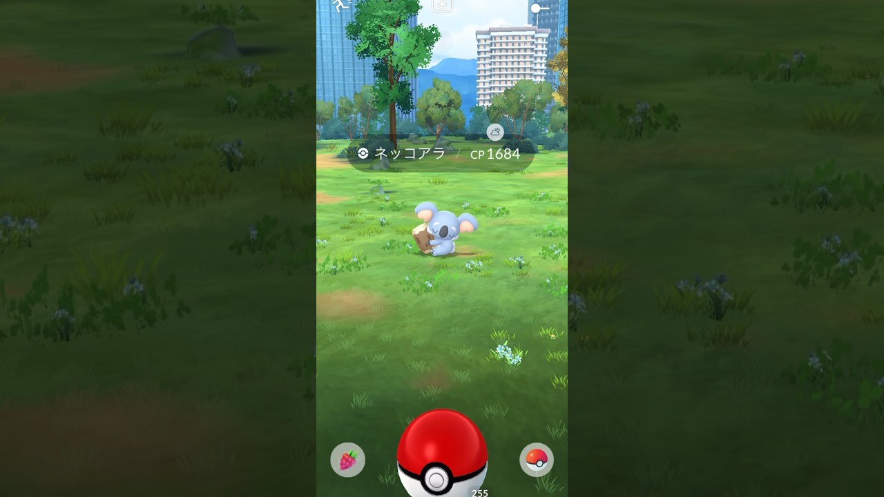 【ポケモンGO】ネッコアラGETの瞬間 #ポケモンgo #ポケモン #ゲットチャレンジ #ネッコアラ #pokemon #pokemongo