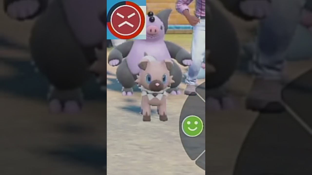 【イワンコ】ポケモンエクササイズ【キタカミ図鑑No.70】#Shorts #pokemon