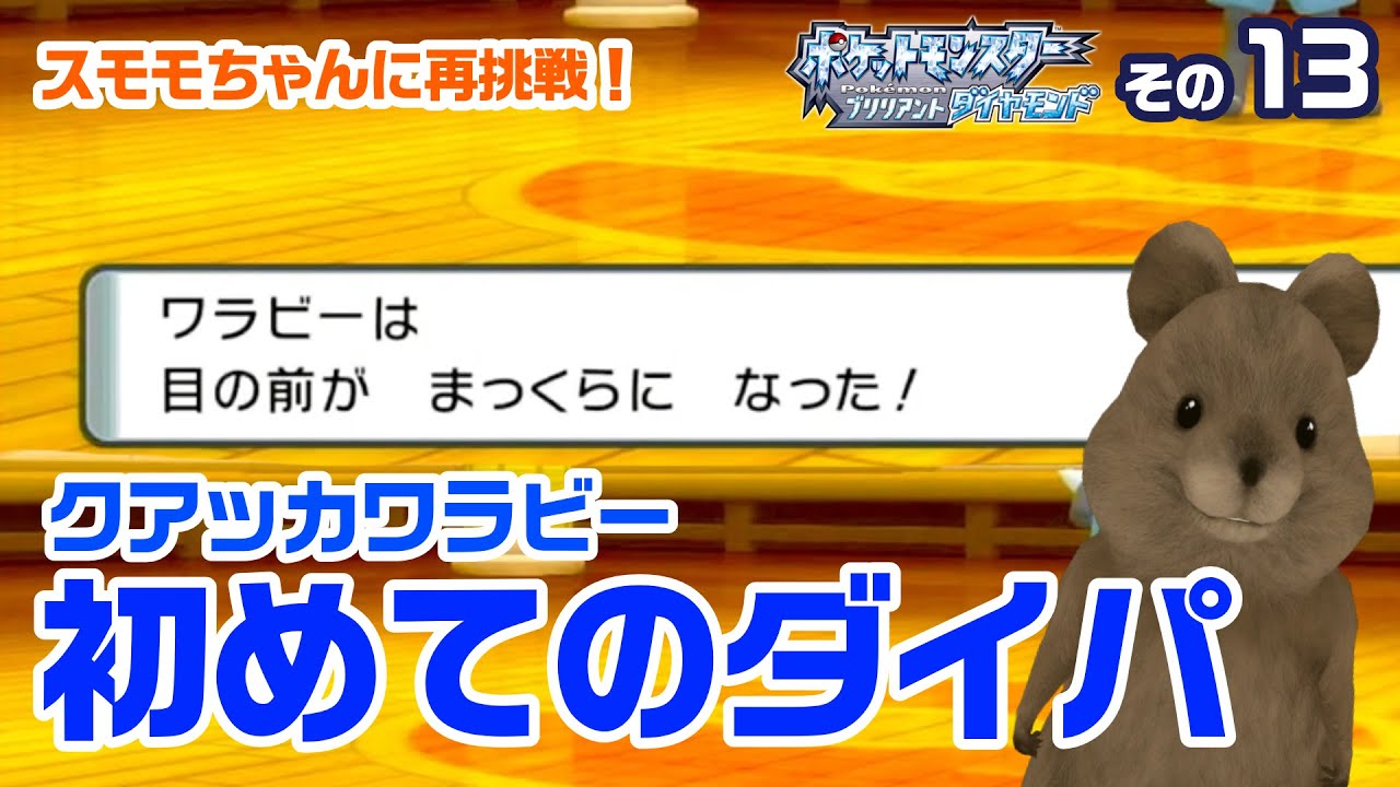 ポケポケのポケモンに会いに行くクアッカワラビー実況その13【ダイパリメイク】