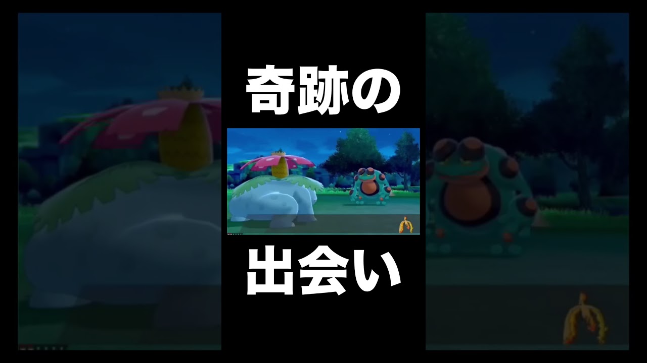 【ポケモン剣盾】ぶつかったガマゲロゲはまさかの【ソードシールド】 #ポケモン剣盾 #shorts